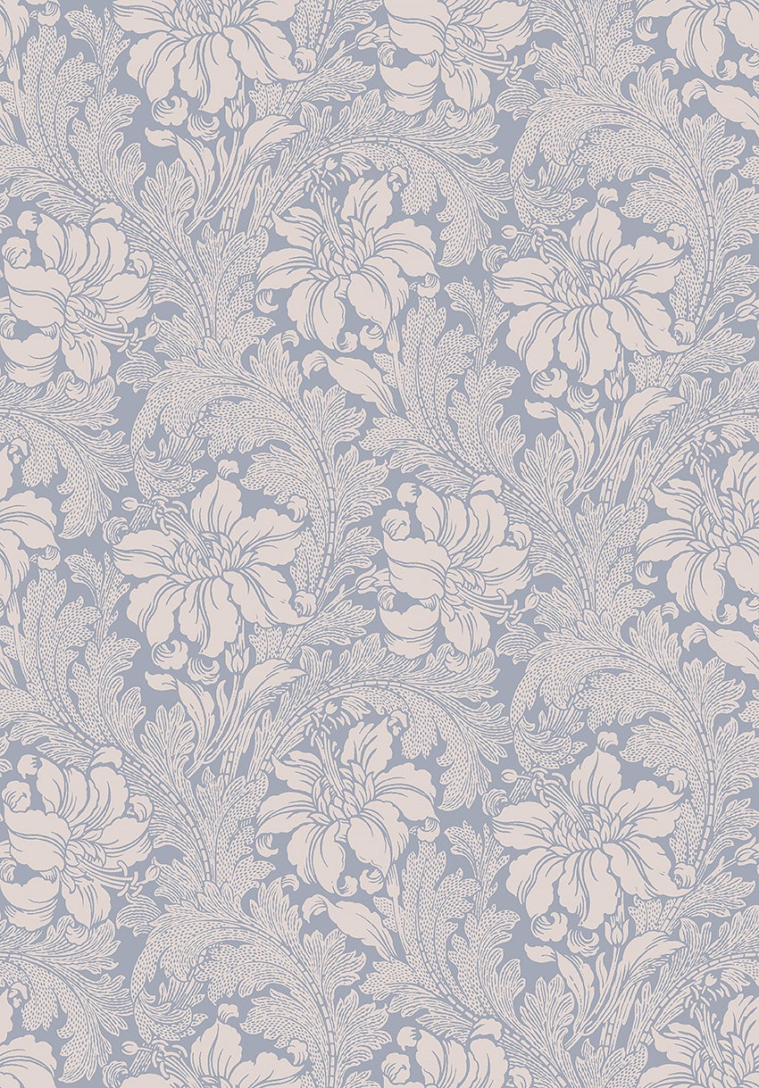 Acanthus storblommig, blå/beige