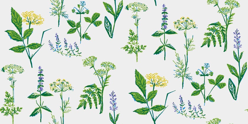 Köksväxter, vit/grön