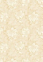 Acanthus storblommig, ljusbeige/gul