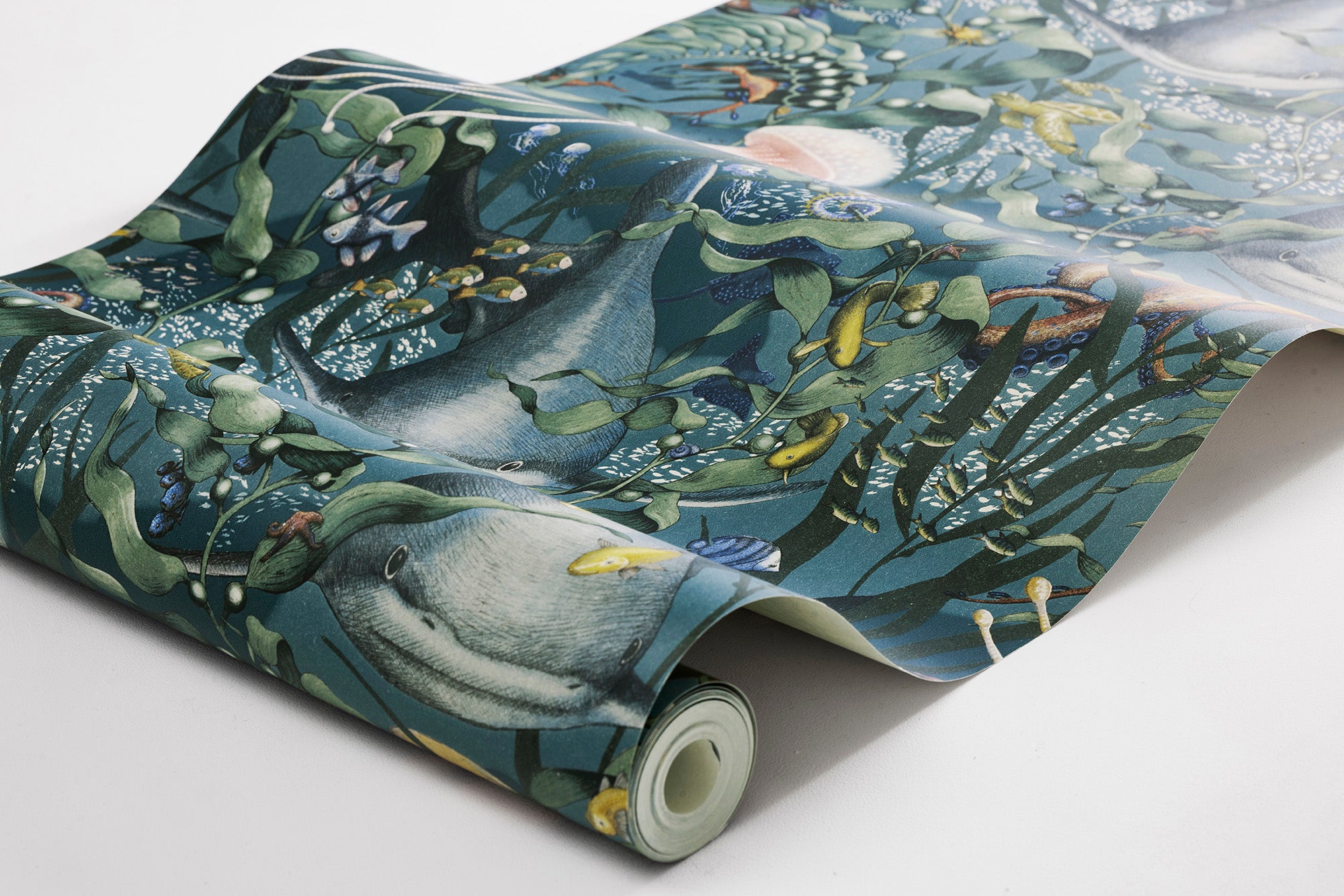 Underwater Magic, Multi